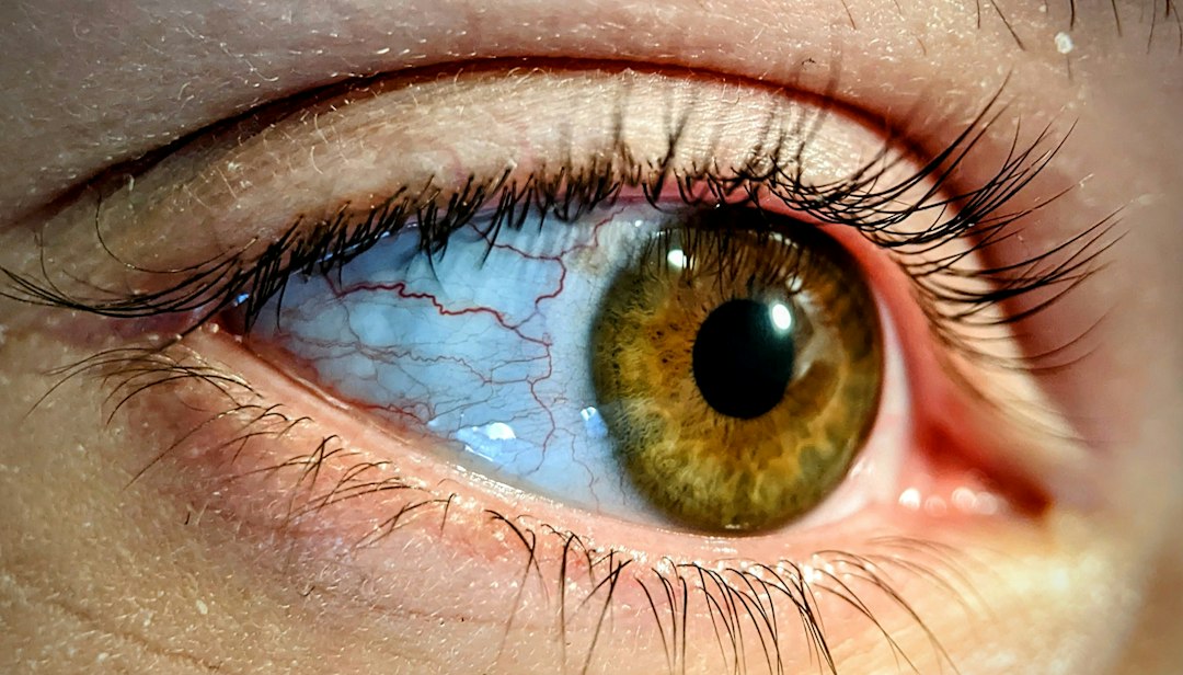 Close-up of natural, long, healthy eyelashes